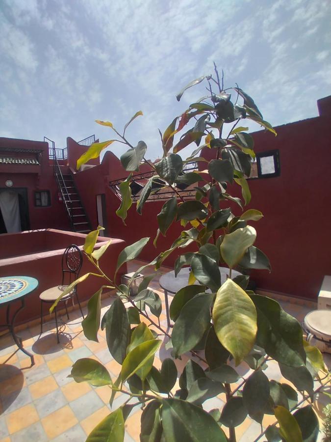 Riad 9 Derb El Bousnne Marraquexe Exterior foto
