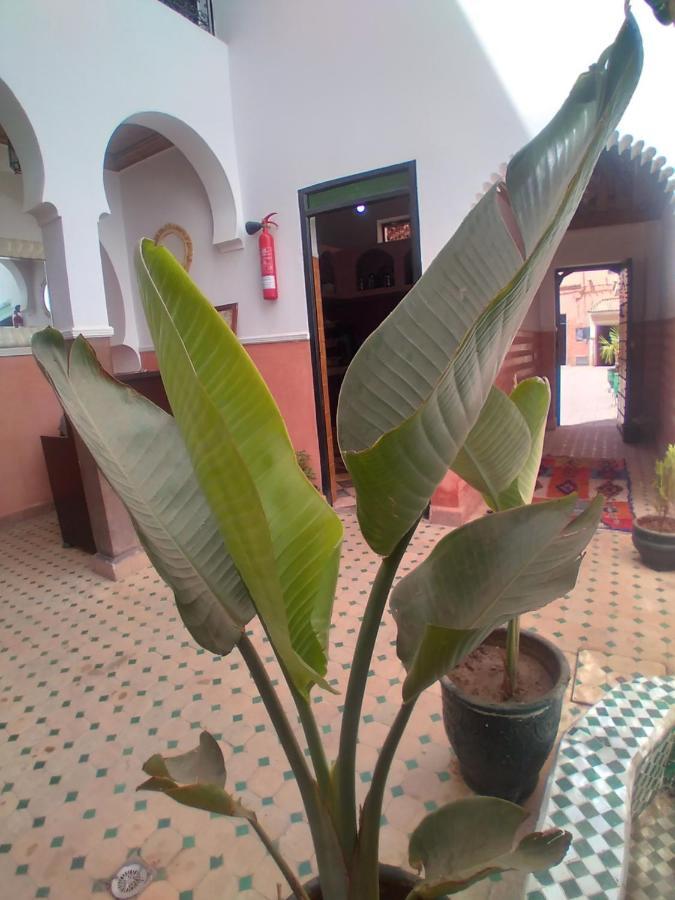 Riad 9 Derb El Bousnne Marraquexe Exterior foto