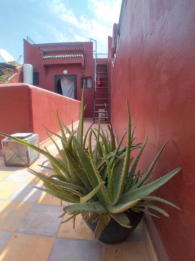 Riad 9 Derb El Bousnne Marraquexe Exterior foto